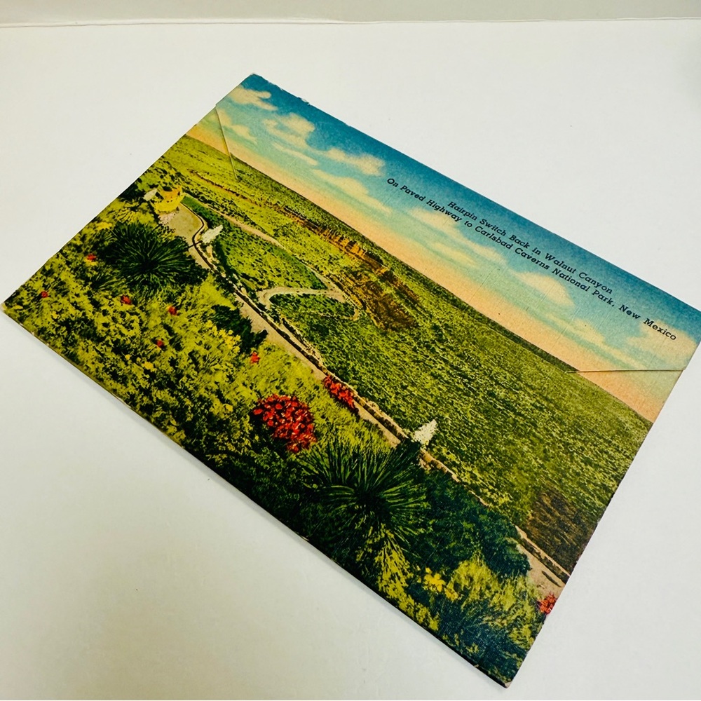 Genuine Vintage 1950 Curteich Carlsbad Caverns National Park Accordion Postcard - Picture 10 of 10